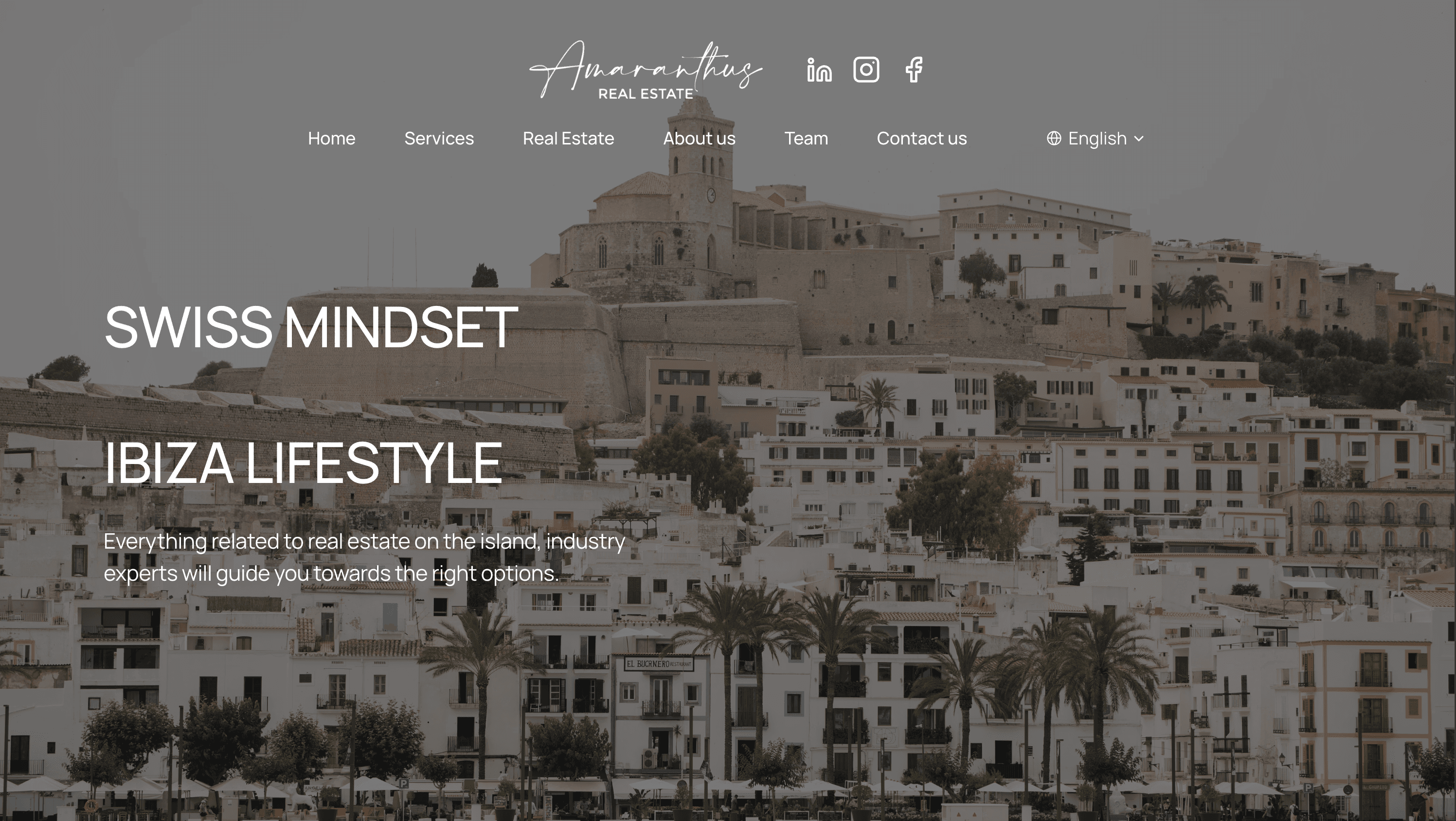 Amaranthus Real Estate anteprima sito web